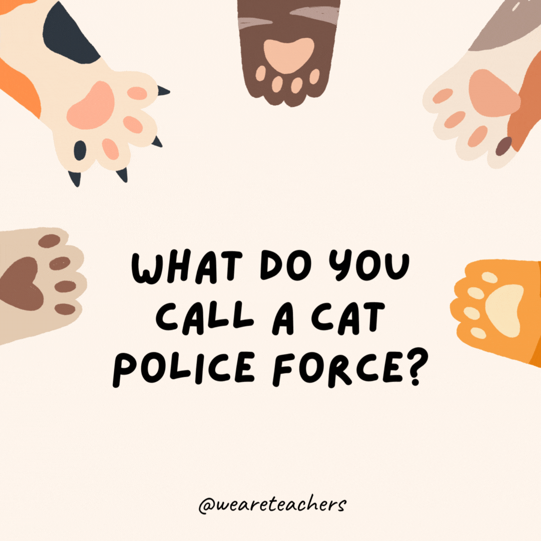 What do you call a cat police force?