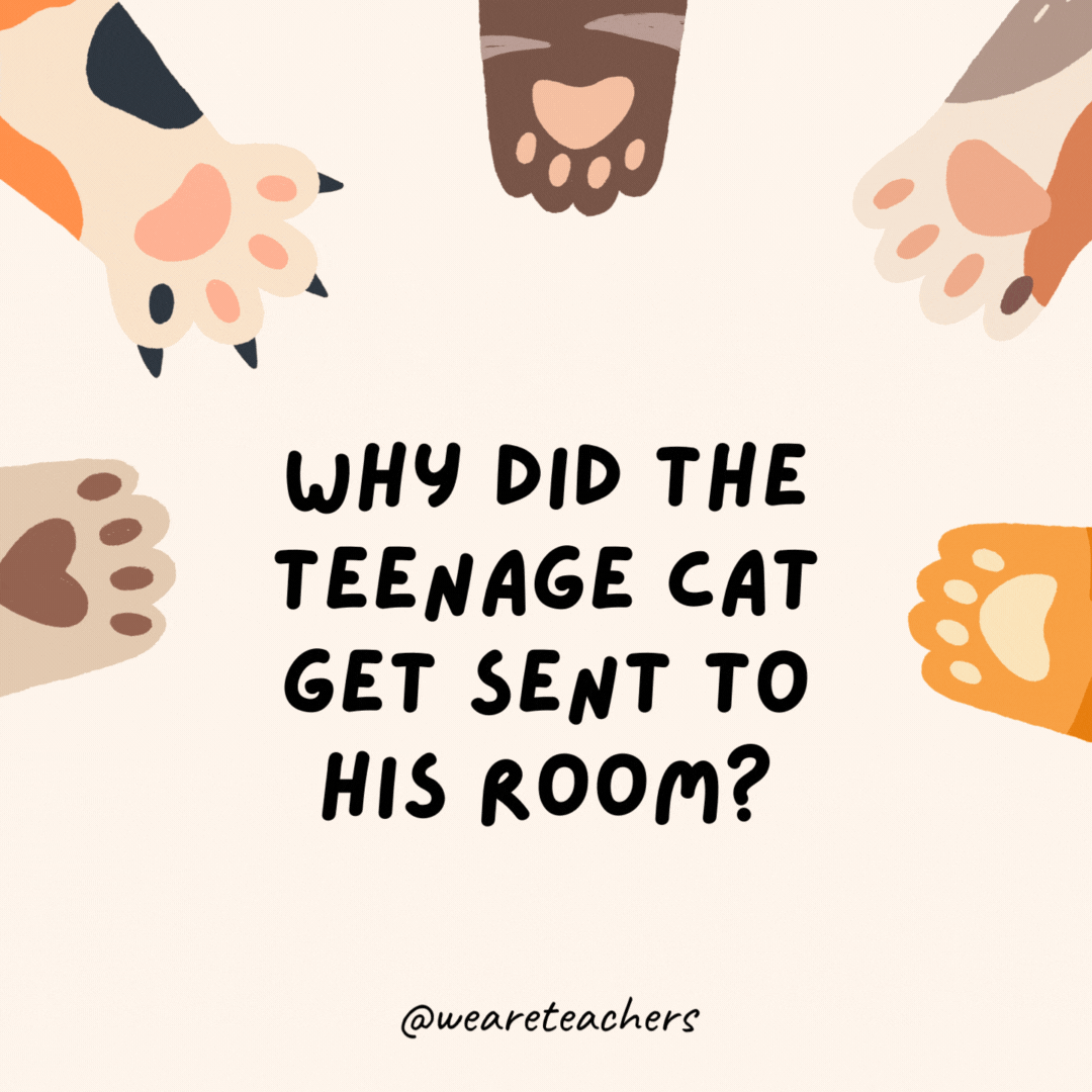 Why did the teenage cat get sent to his room?