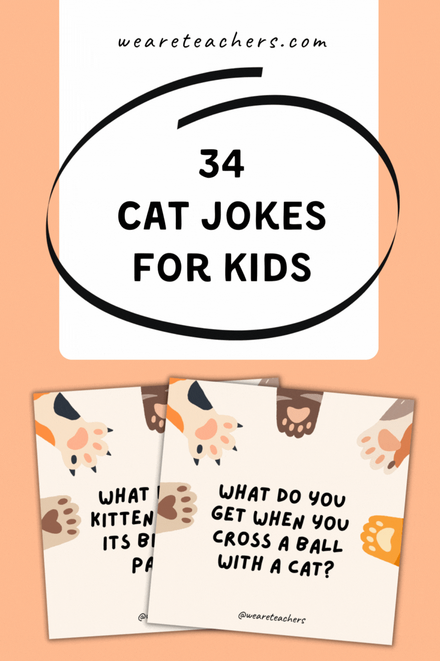 34个孩子的猫笑话