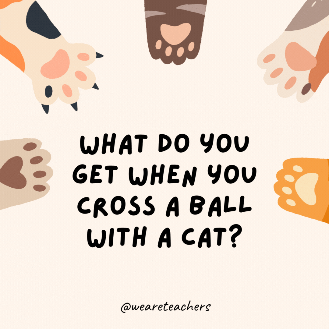 What do you get when you cross a ball with a cat?