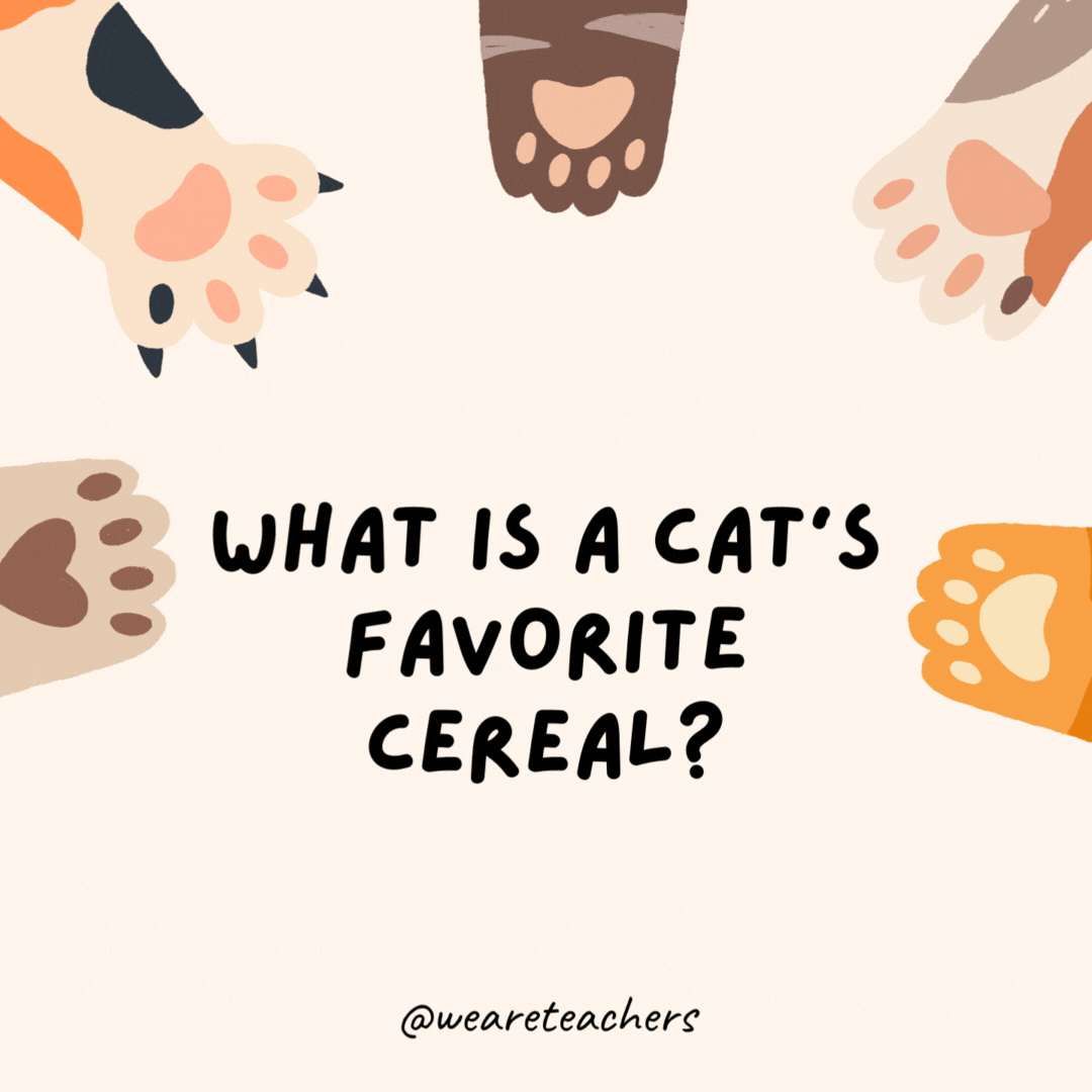 What is a cat’s favorite cereal?