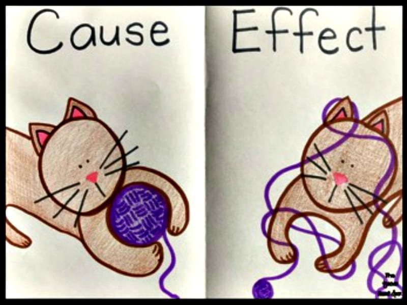 Cause and effect pictures of a cat with purple yarn