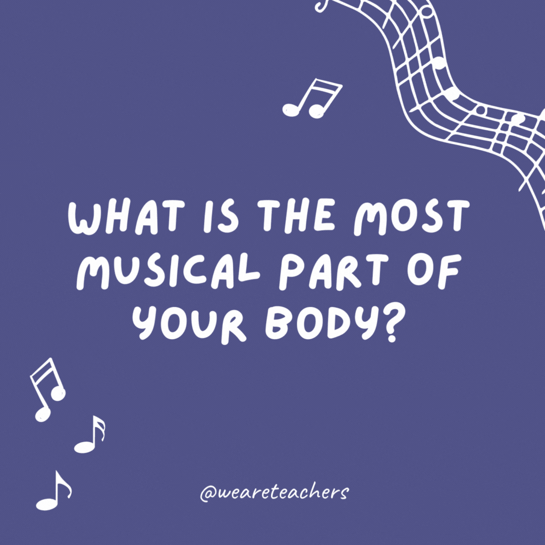 What is the most musical part of your body? Your nose because you can blow and pick it.