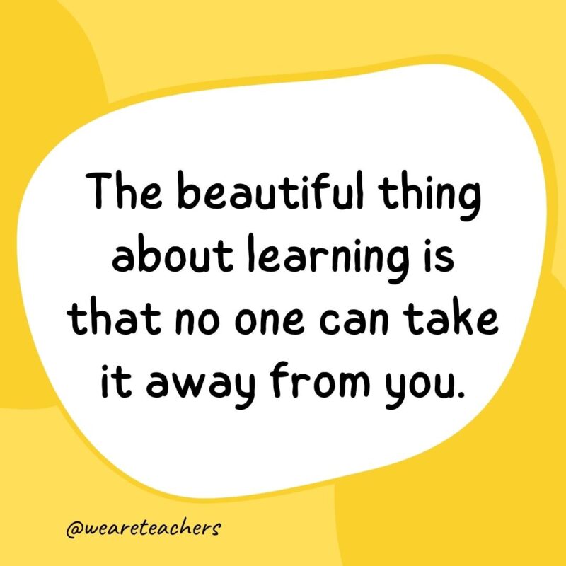 33. The beautiful thing about learning is that no one can take it away from you.