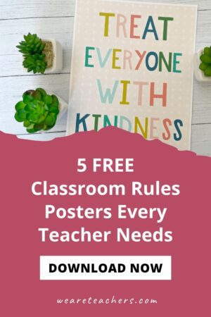 Classroom Rules Posters Every Teacher Needs - Free to Print and Save