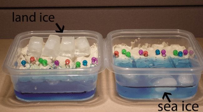 Two plastic dishes containing shoreline models and ice cubes