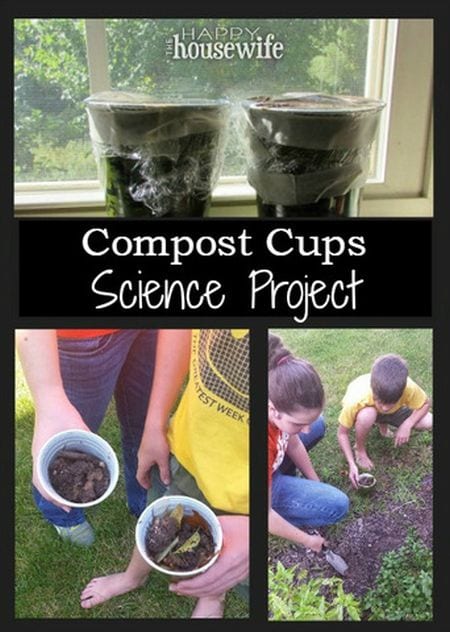 simple science projects for 6th graders