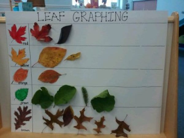 12 Leaf Projects to Teach Great Lessons in Your Classroom