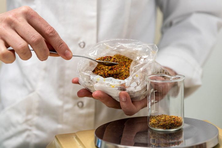 scientist preparing and measuring bee pollen for analysis.