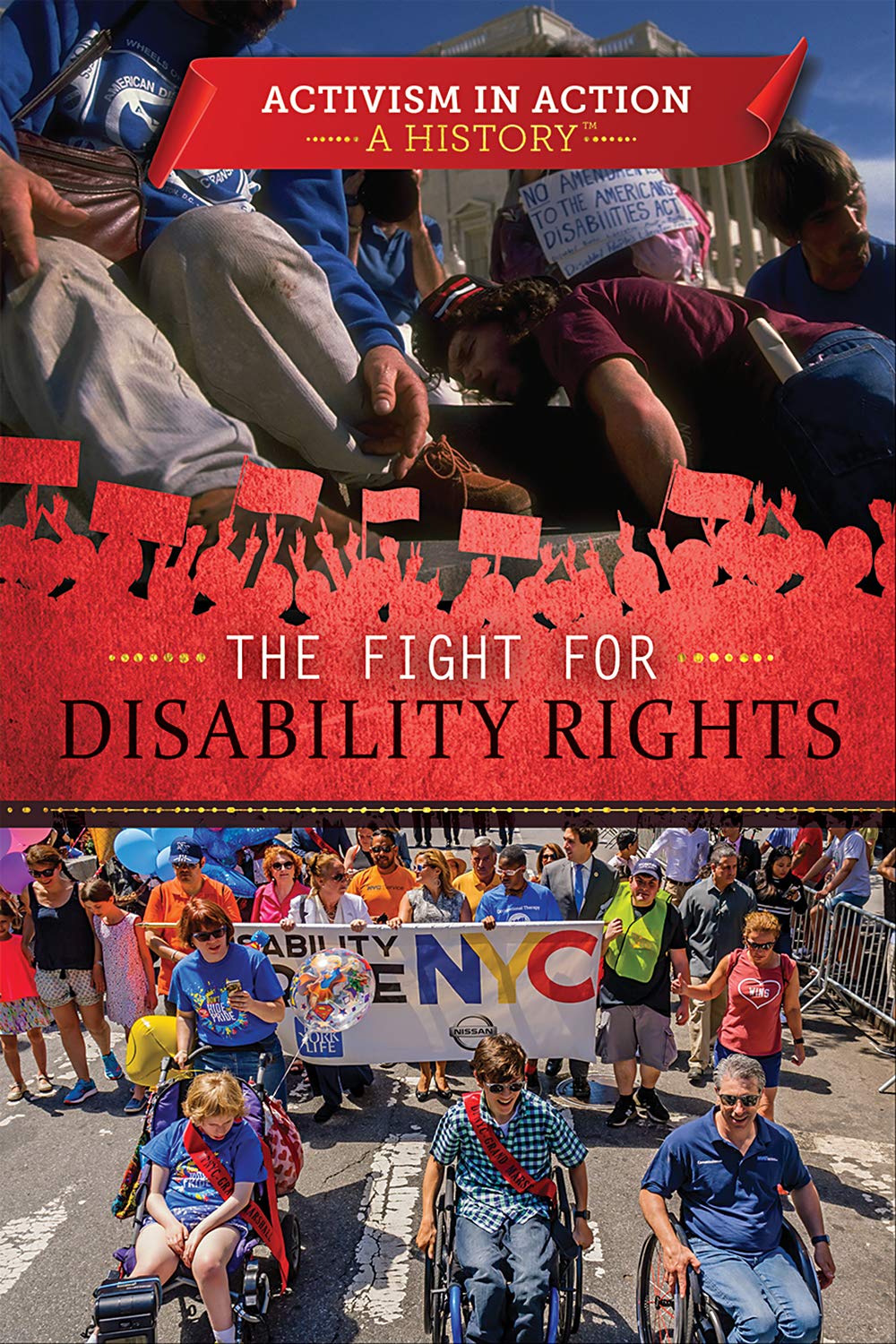 Disability history book