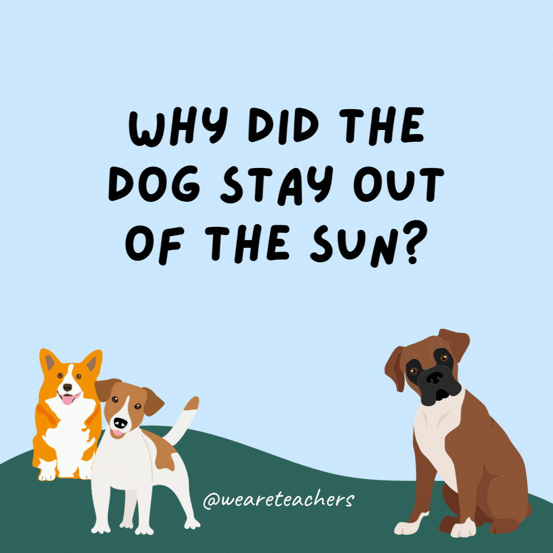 Why did the dog stay out of the sun? So he wouldn't be a hot dog.