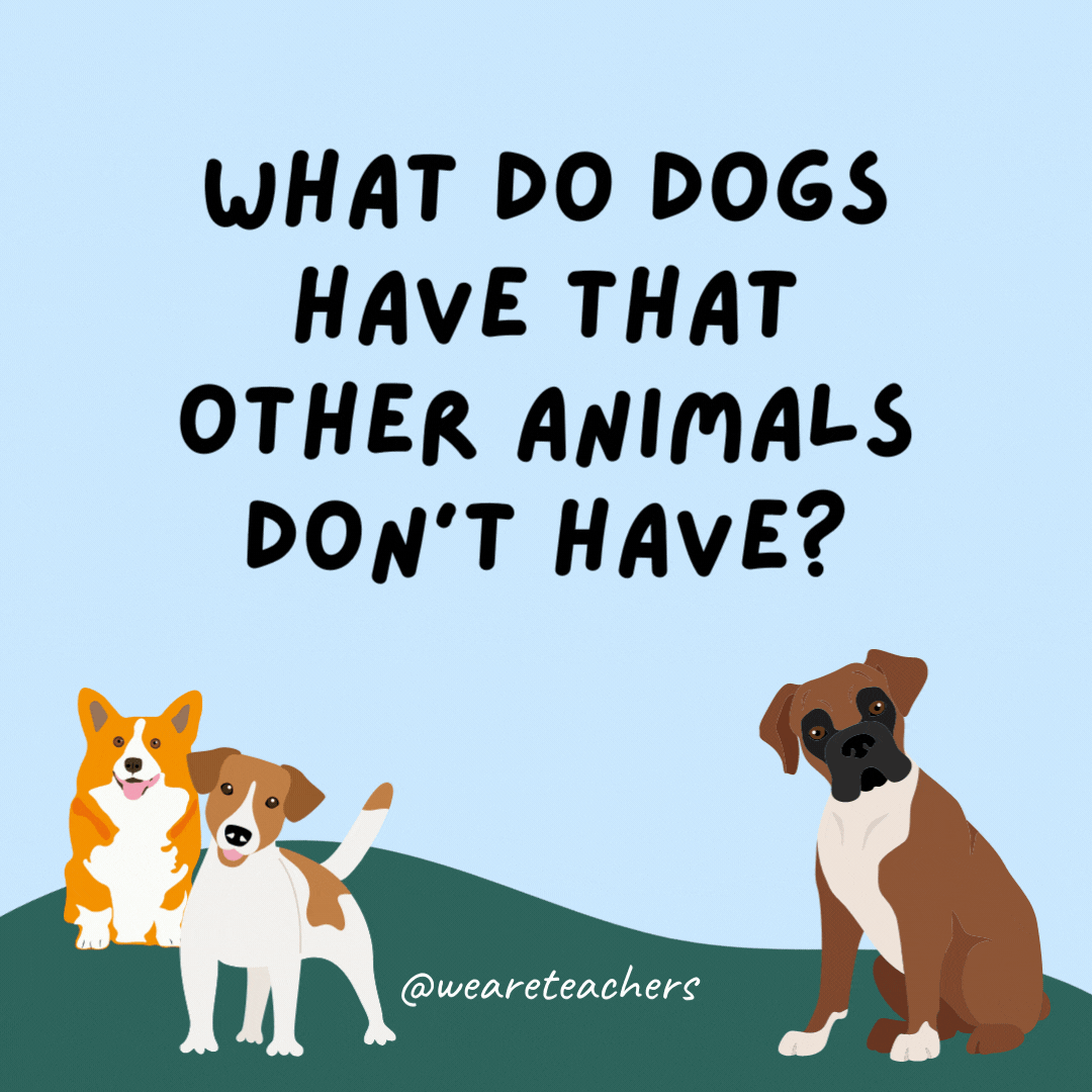 What do dogs have that other animals don't have? Puppies.
