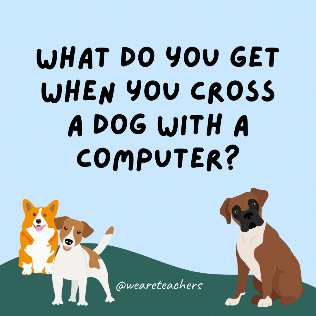 What do you get when you cross a dog with a computer? Lots of bytes.