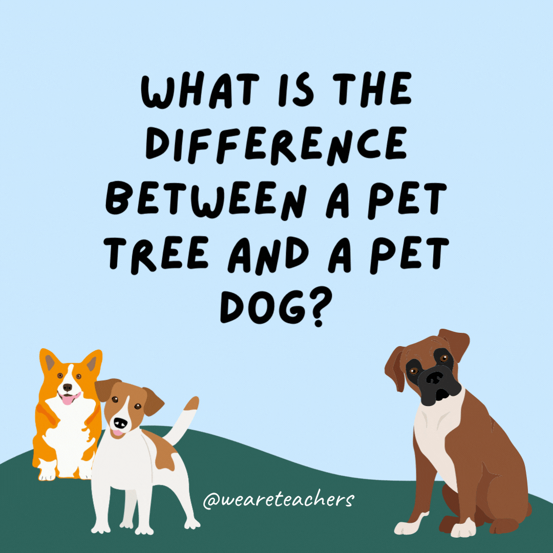 What is the difference between a pet tree and a pet dog? The pet tree has a quieter bark.