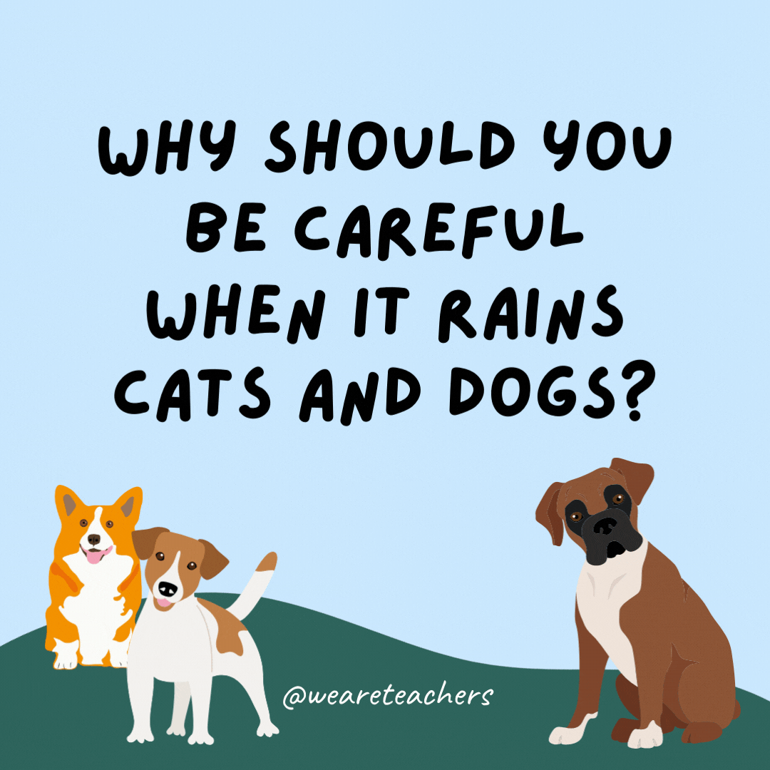 Why should you be careful when it rains cats and dogs? Because you might step in a poodle.