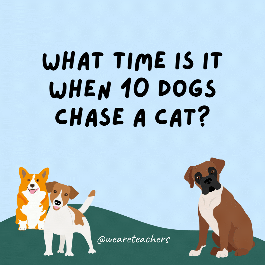 What time is it when 10 dogs chase a cat? 10 after 1.