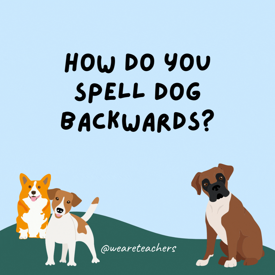 How do you spell dog backwards? D-O-G-B-A-C-K-W-A-R-D-S.