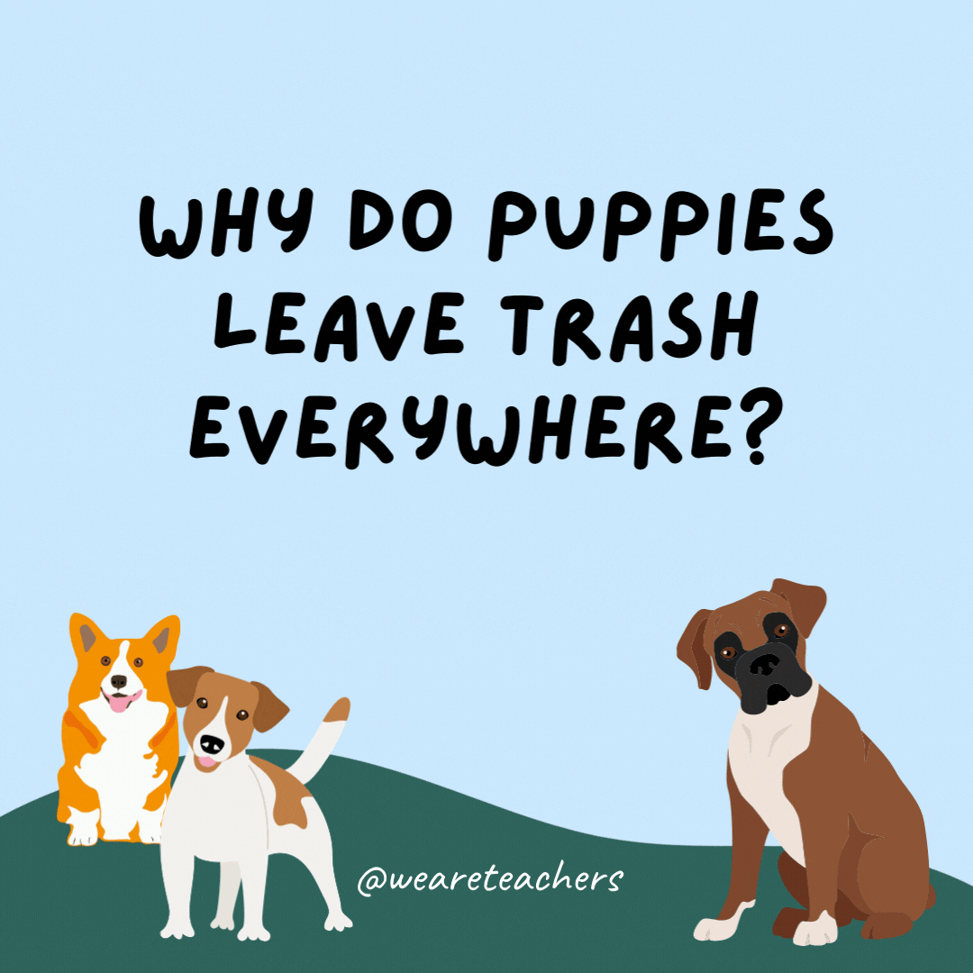 Why do puppies leave trash everywhere? They are part of a litter.