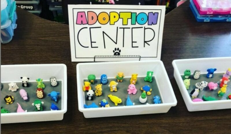 Desk pet adoption center