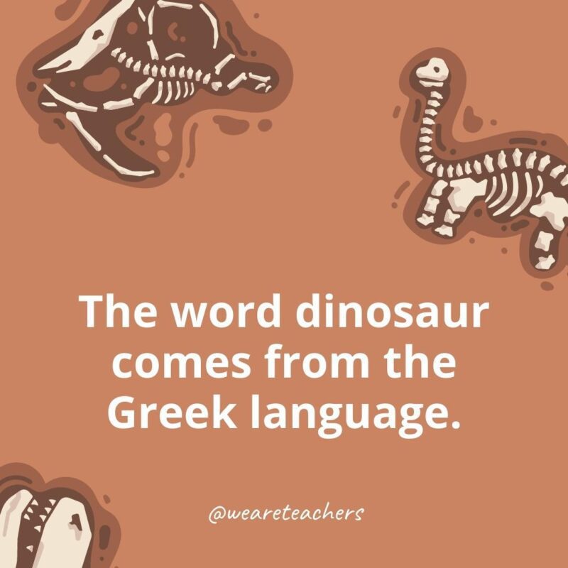 The word dinosaur comes from the Greek language.