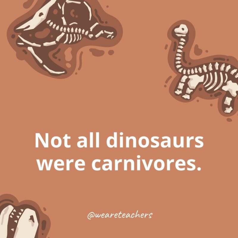 Not all dinosaurs were carnivores. 