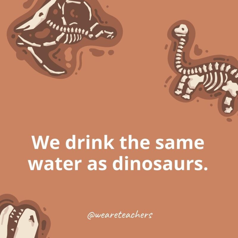 We drink the same water as dinosaurs.