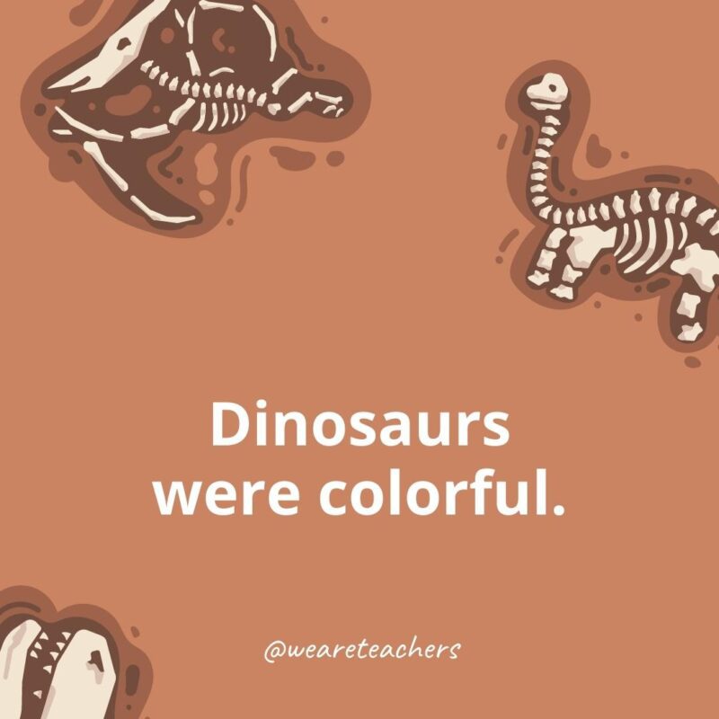 Dinosaurs were colorful. 
