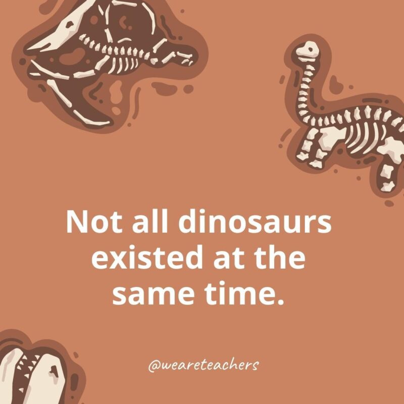 Not all dinosaurs existed at the same time.