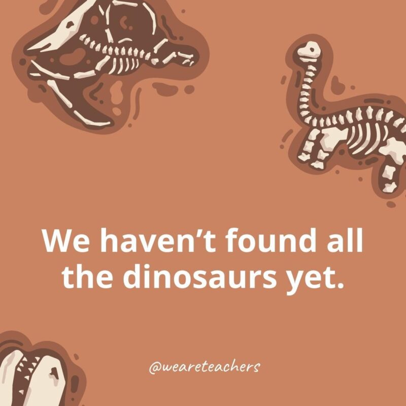 We haven't found all the dinosaurs yet. 