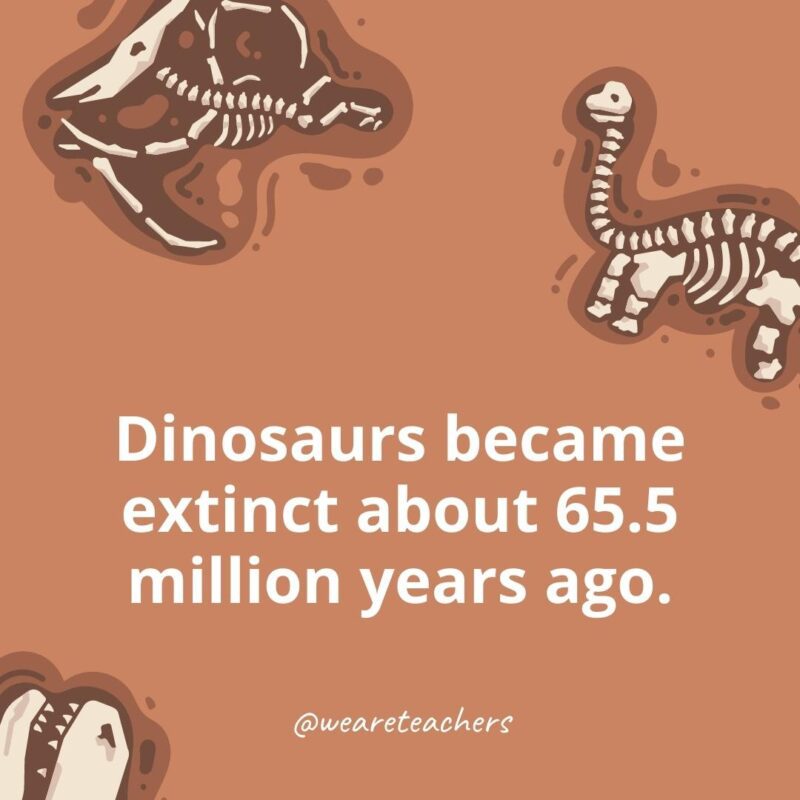 Dinosaurs became extinct about 65.5 million years ago.