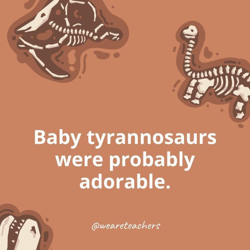 Baby tyrannosaurs were probably adorable.