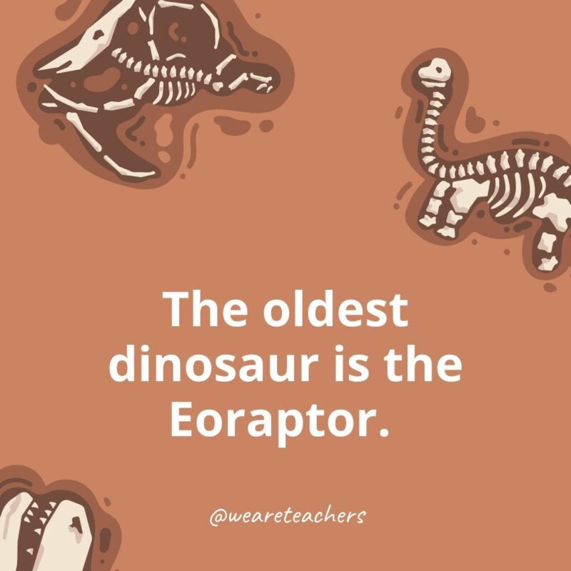 The oldest dinosaur is the Eoraptor. 