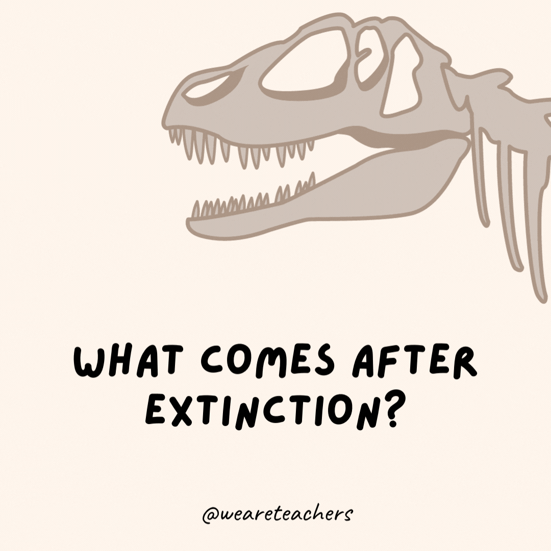 What comes after extinction?