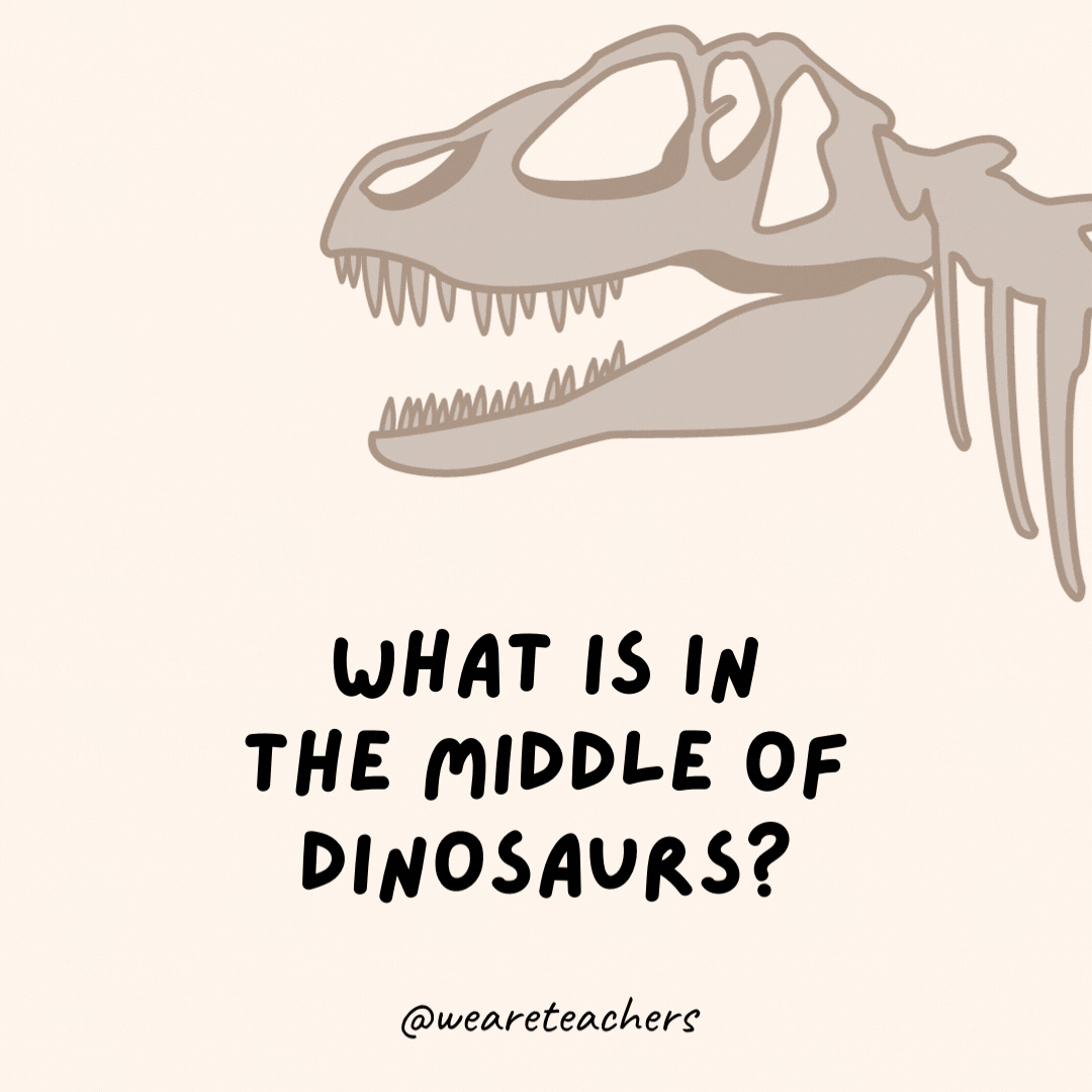 What is in the middle of dinosaurs?