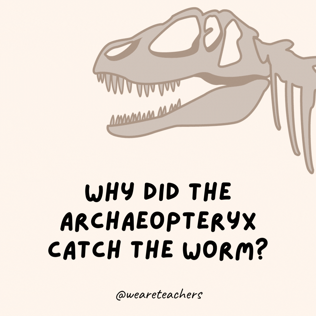 Why did the Archeopteryx catch the worm?