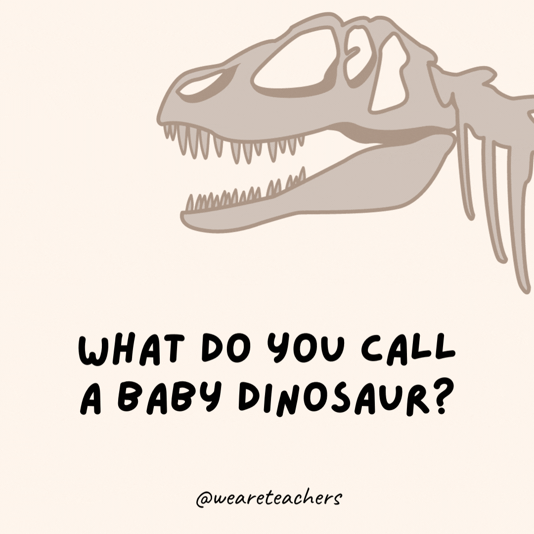What do you call a baby dinosaur?