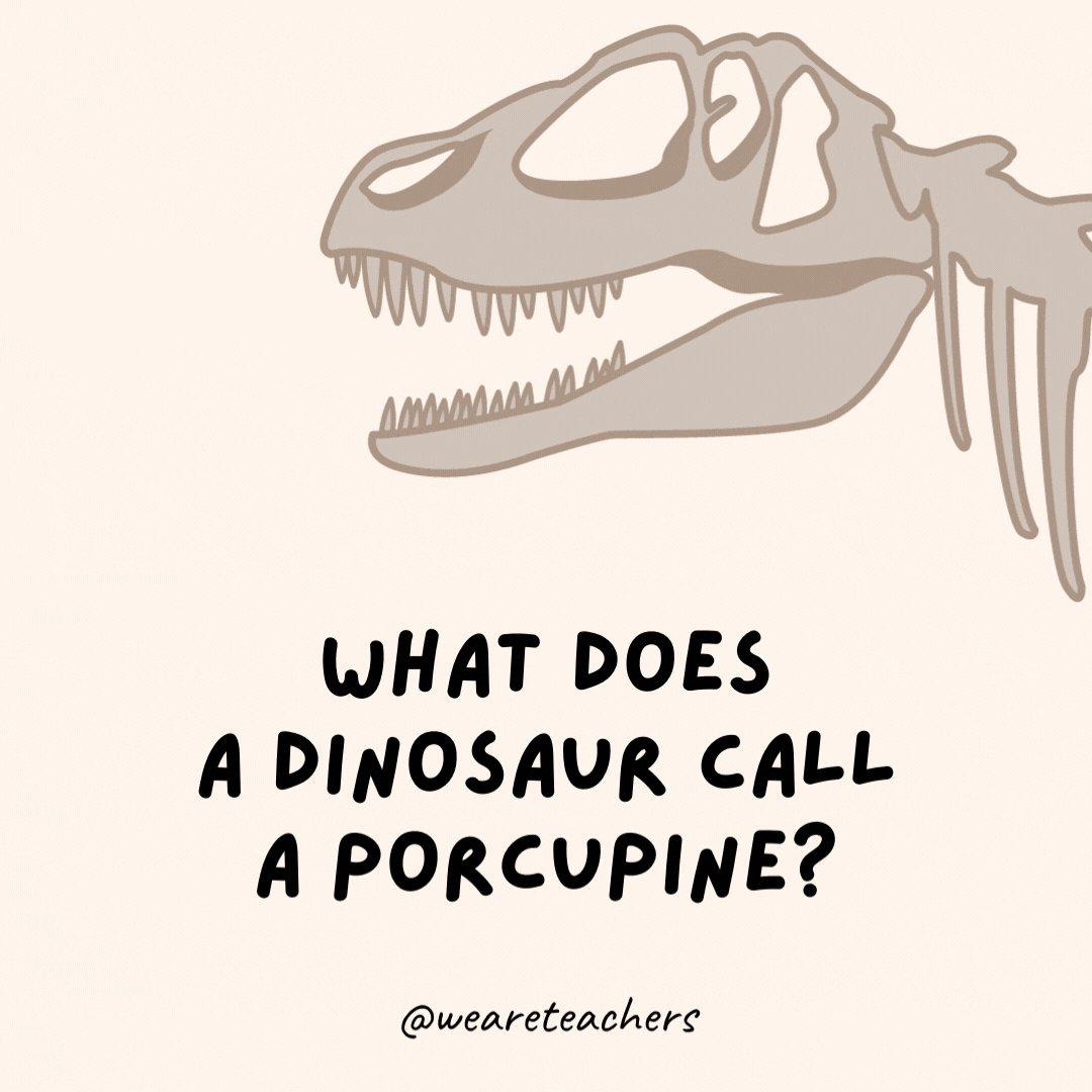 What does a dinosaur call a porcupine?