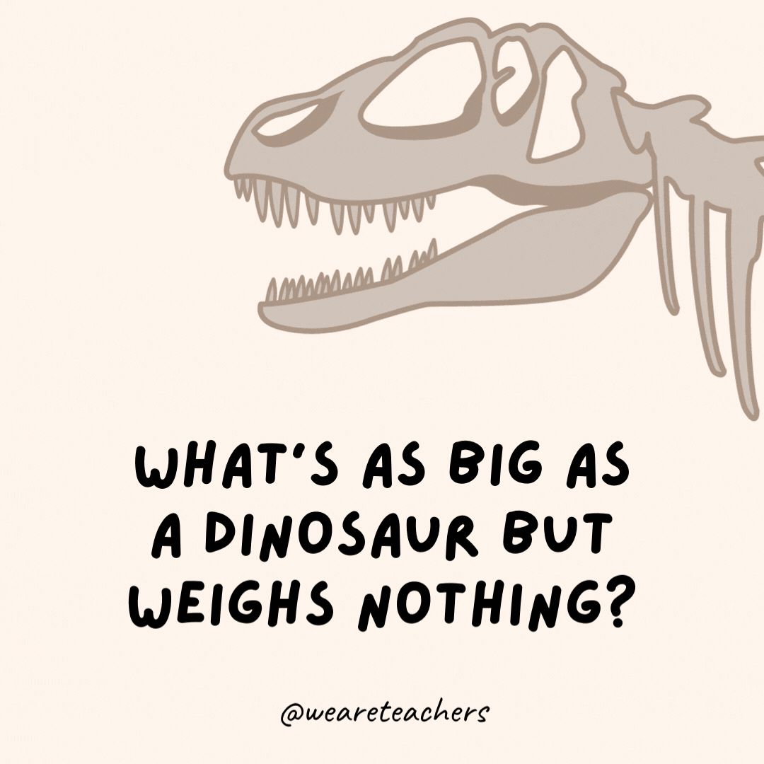 What's as big as a dinosaur but weighs nothing?