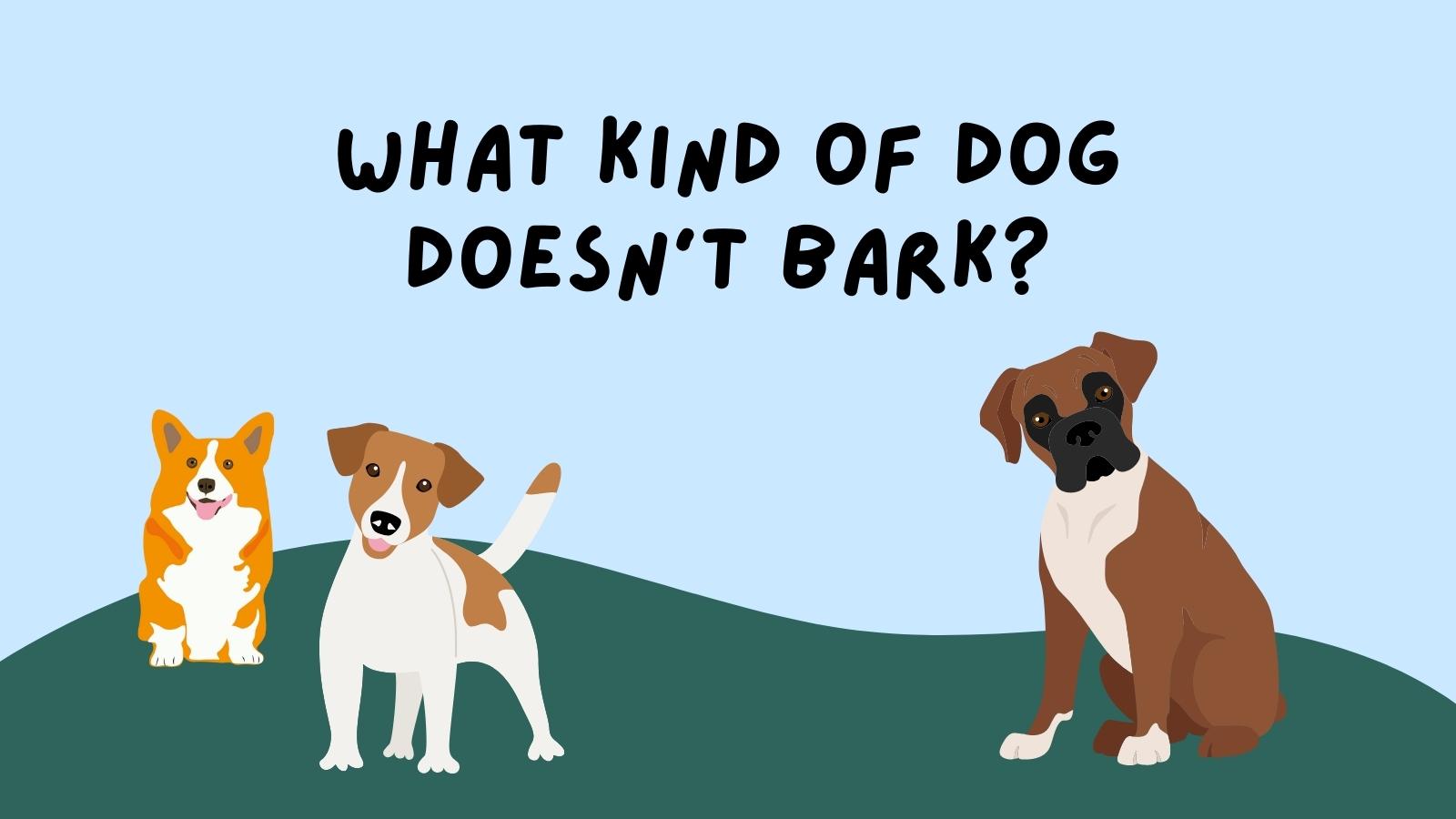 What kind of dog doesn't bark?
