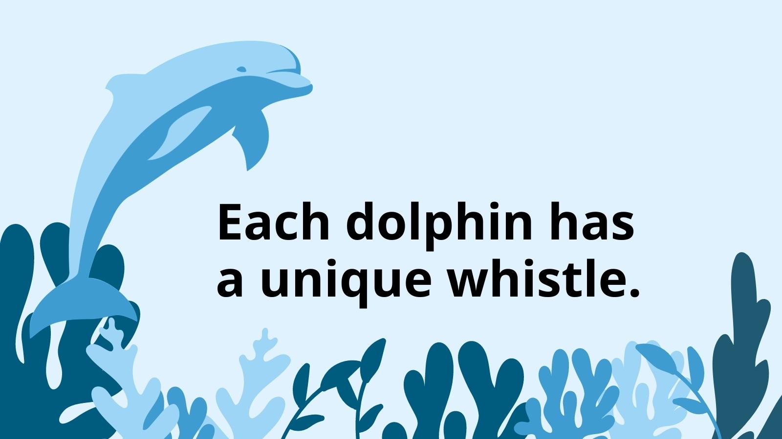 23 Fascinating Dolphin Facts for Kids