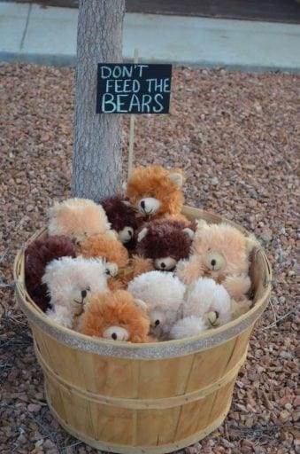 Don't feed the bears critter collection for a camping theme classroom.