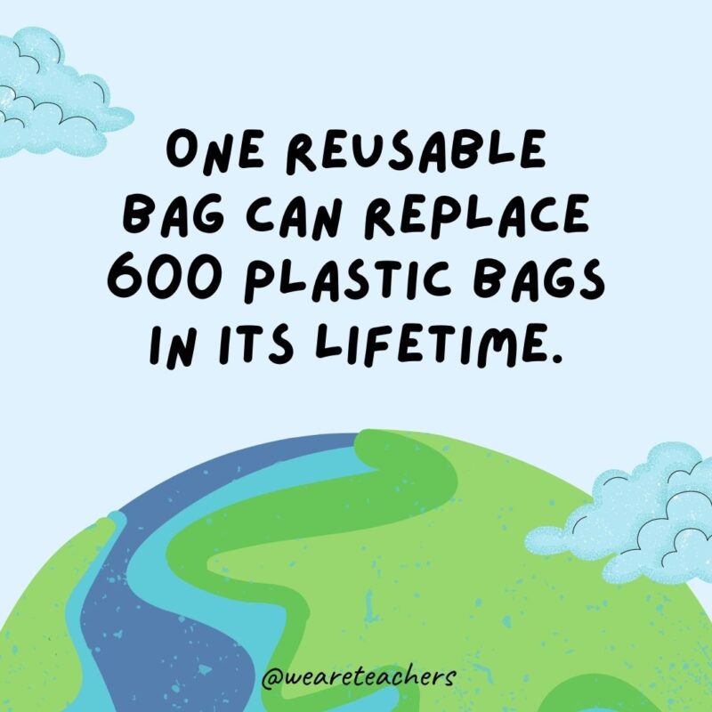One reusable bag can replace 600 plastic bags in its lifetime.