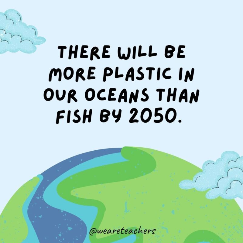 There will be more plastic in our oceans than fish by 2050.