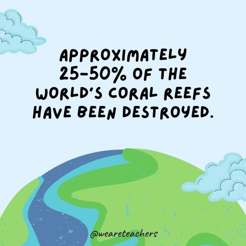 Approximately 25-50% of the world’s coral reefs have been destroyed.