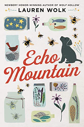 Cover of Echo Mountain by Lauren Wolk