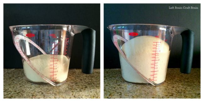 Two images of yeasted dough in a measuring cup, with second photo showing dough doubled in size