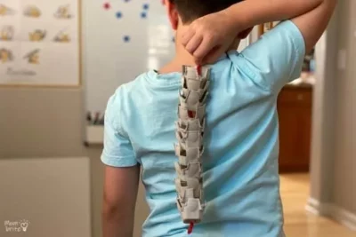 a child holding a model made of egg cartons and string up against his spine