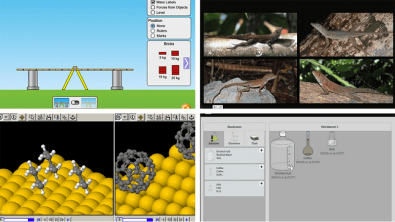 virtual lab virtual frog dissection answers