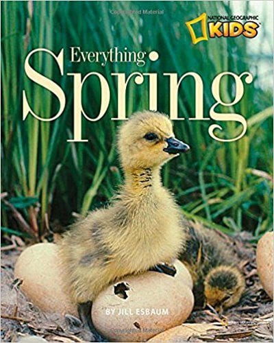 Best Spring Books For Kids As Chosen By Teachers