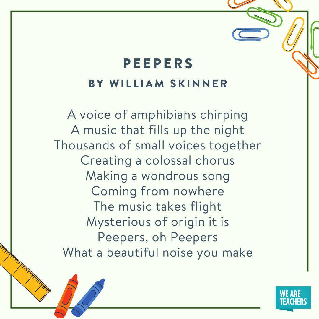 Peepers by William Skinner
